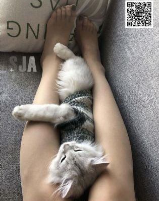 百年乡情