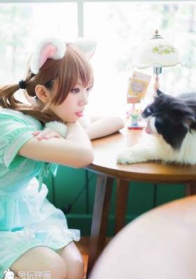杏林春暖在线播放