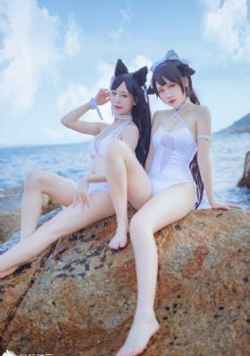 灯草花尚灯完整资源